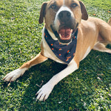 Mushroom Bandana