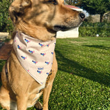 Bunny Bandana